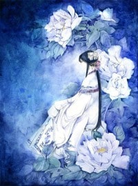 （曹植+赵云同人）三国别传之玉华清兮云飞扬